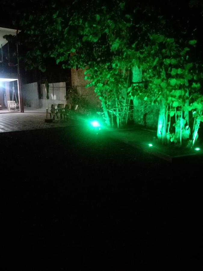 Guest House Kakheti Кварелі Екстер'єр фото