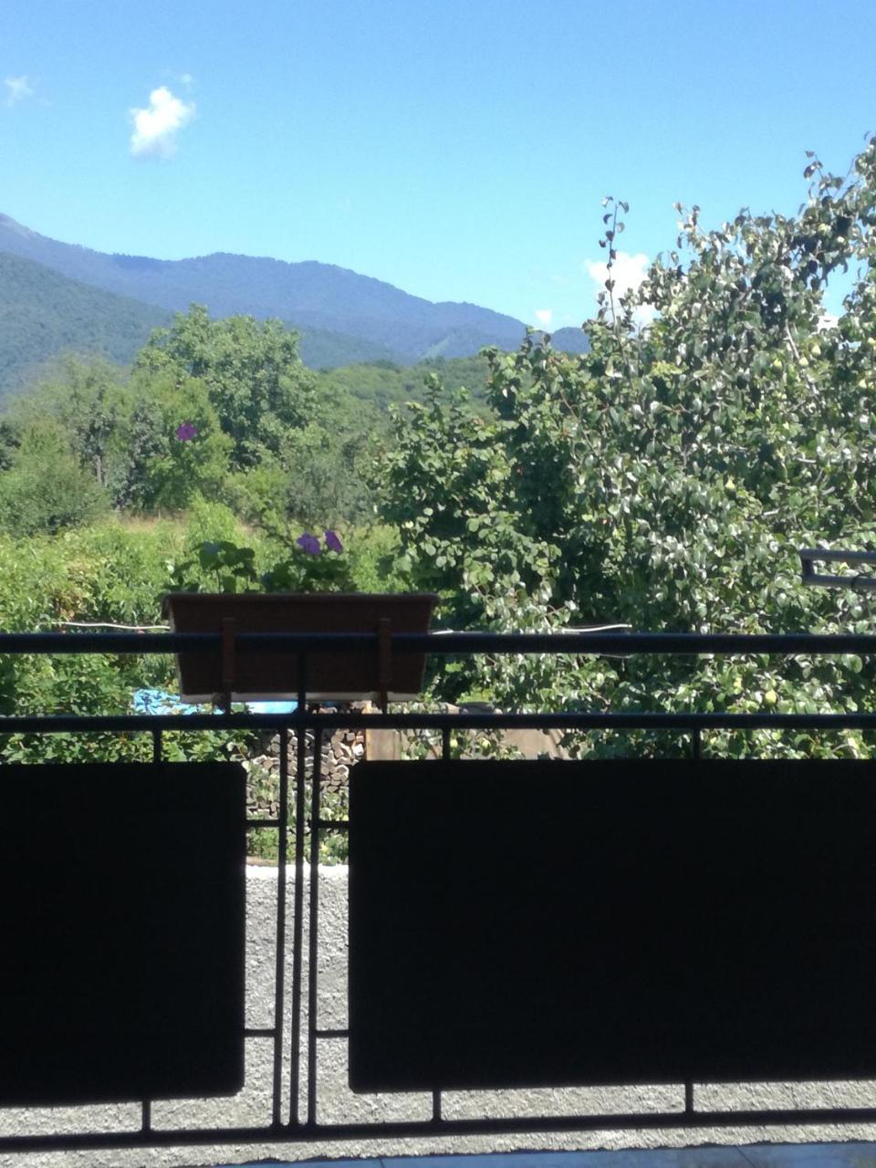 Guest House Kakheti Кварелі Екстер'єр фото